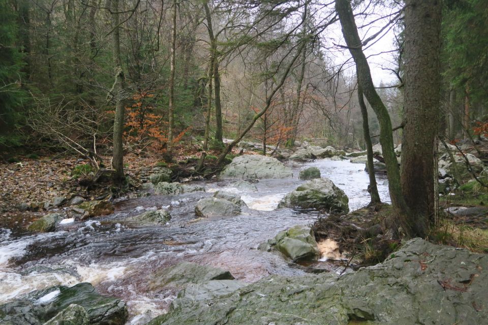 fagnes5435.jpg