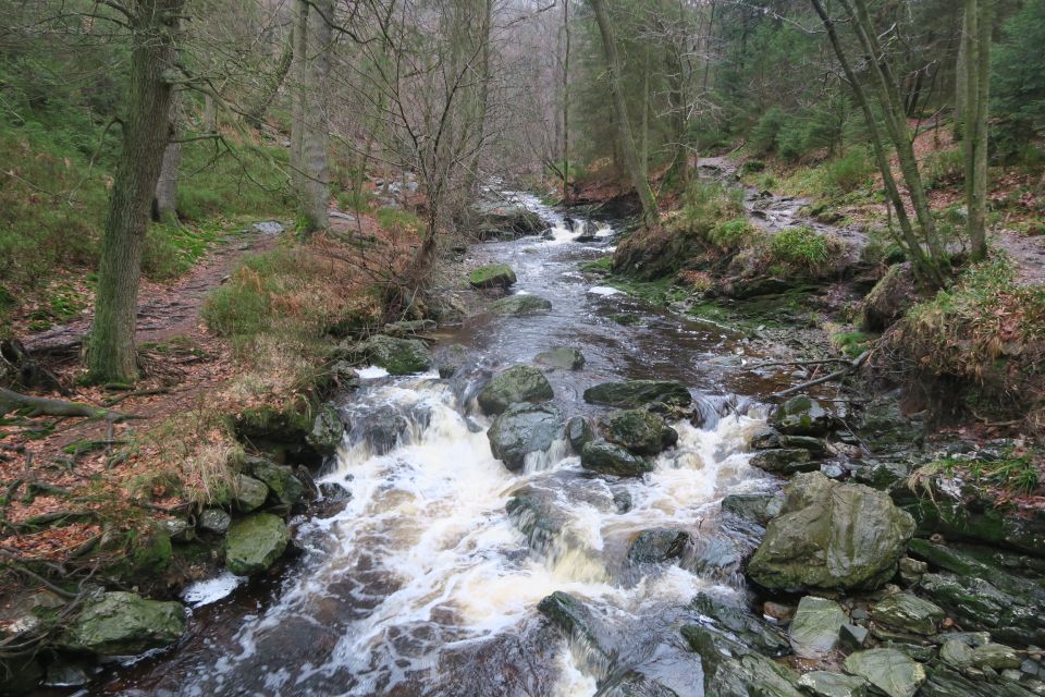 fagnes5442.jpg