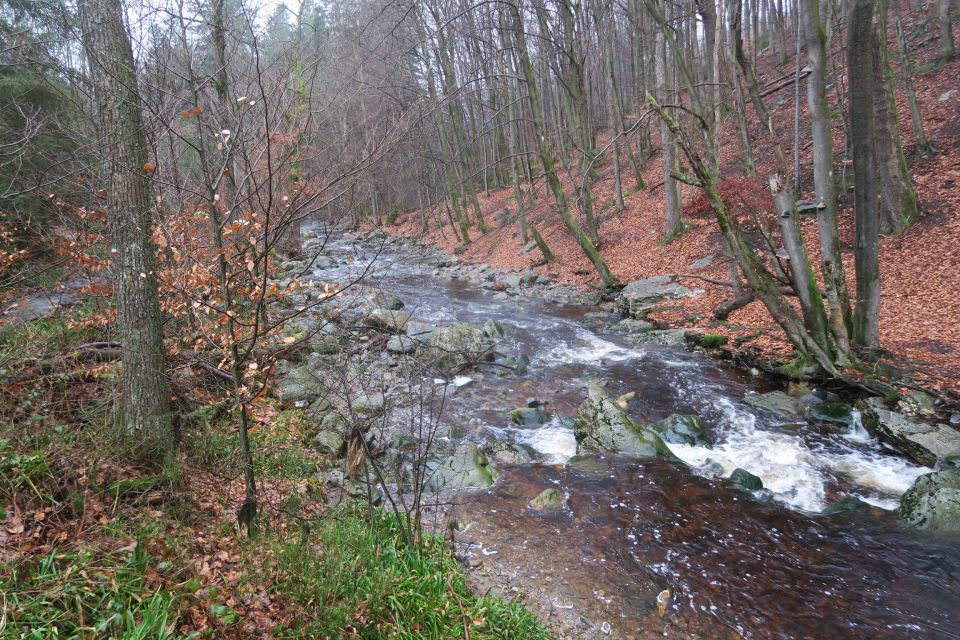 fagnes5443.jpg