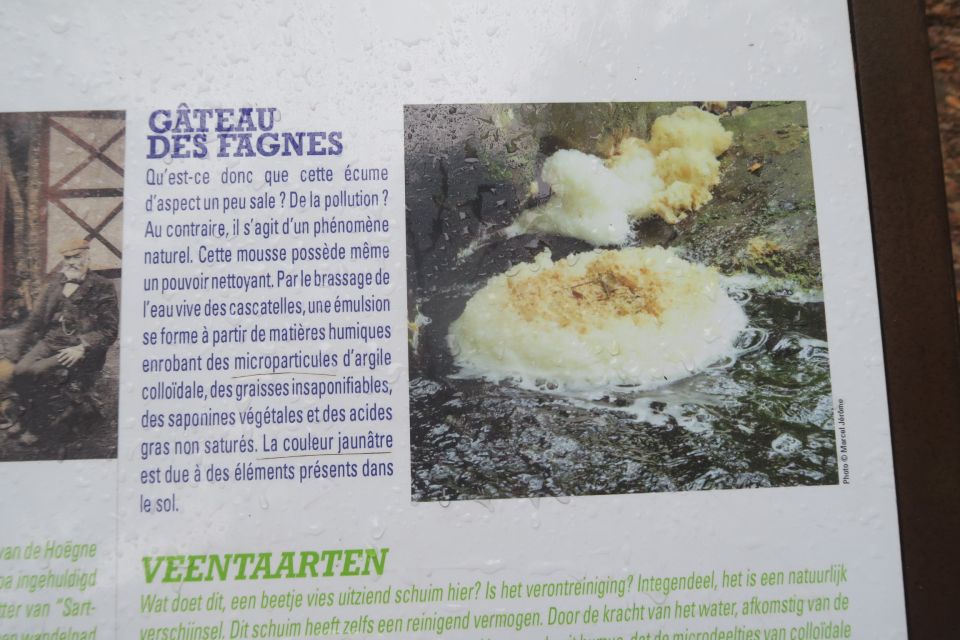 fagnes5445.jpg