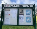 ganshoren9376.jpg