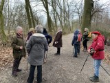 Le bois du Laerbeek