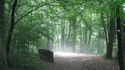 Chemin de la Transcalestienne