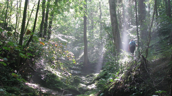 Chemin de la Transcalestienne