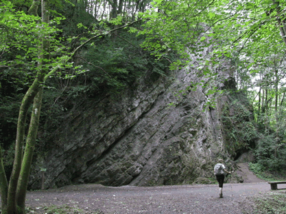 Anticlinal