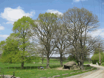 Dolmen de Wéris