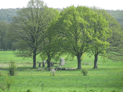 Dolmen d'Oppagne