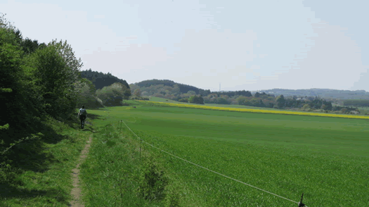 Chemin de la Transcalestienne