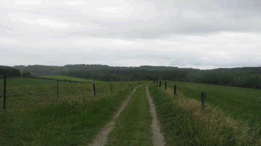 Chemin de la Transcalestienne