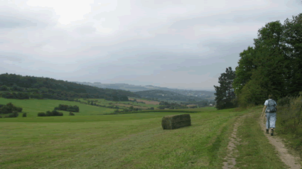 Chemin de la Transcalestienne