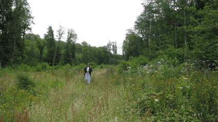 Chemin de la Transcalestienne