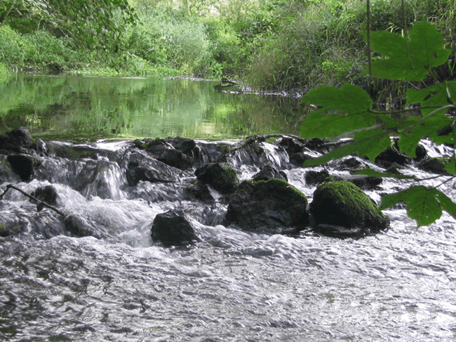 Eau Blanche