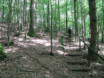 Chemin de la Transcalestienne