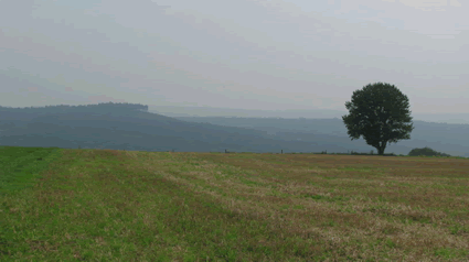 Vue sur le Mont des Pins